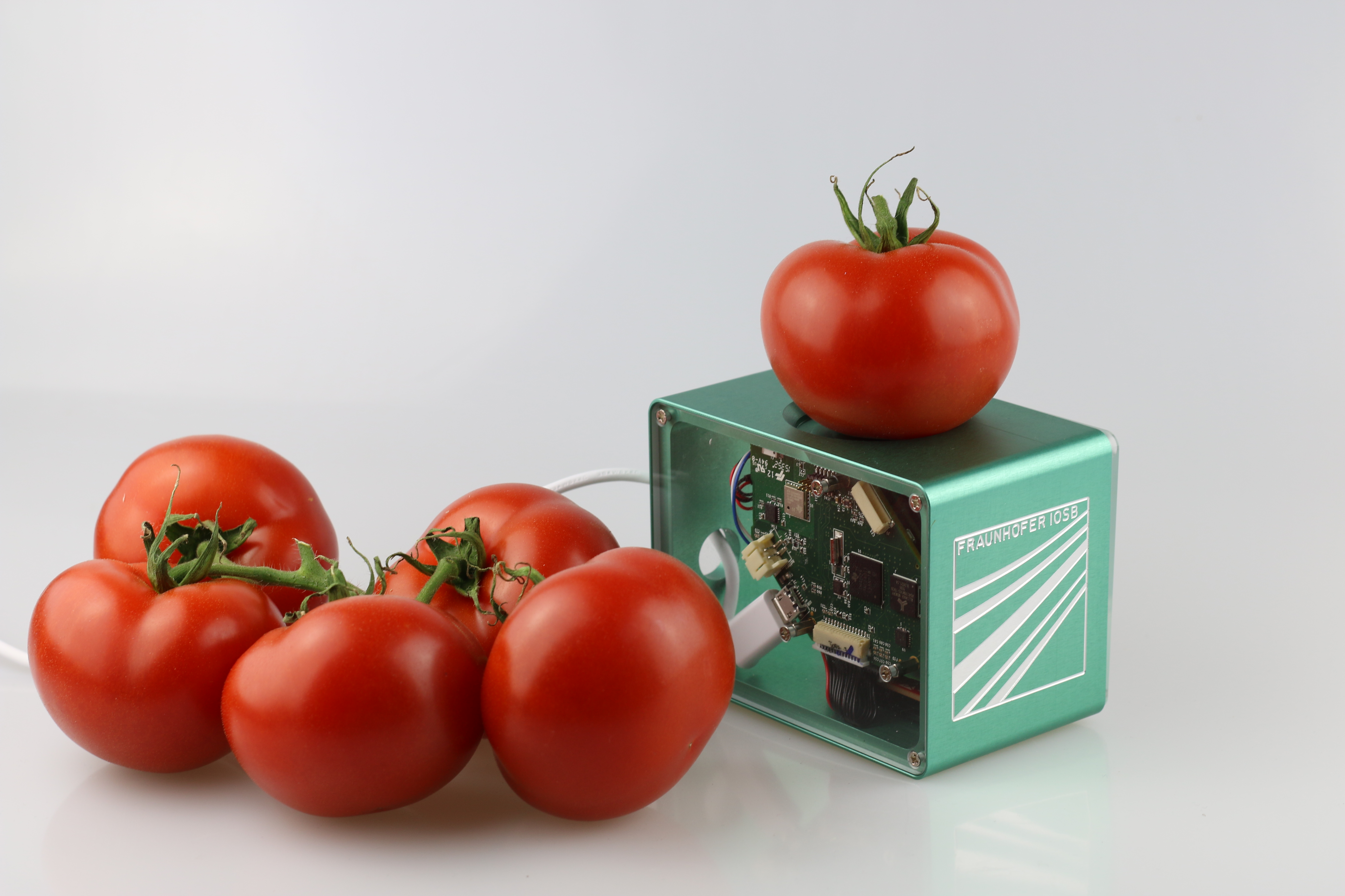 Tomaten auf einem elektronischen Gerät 