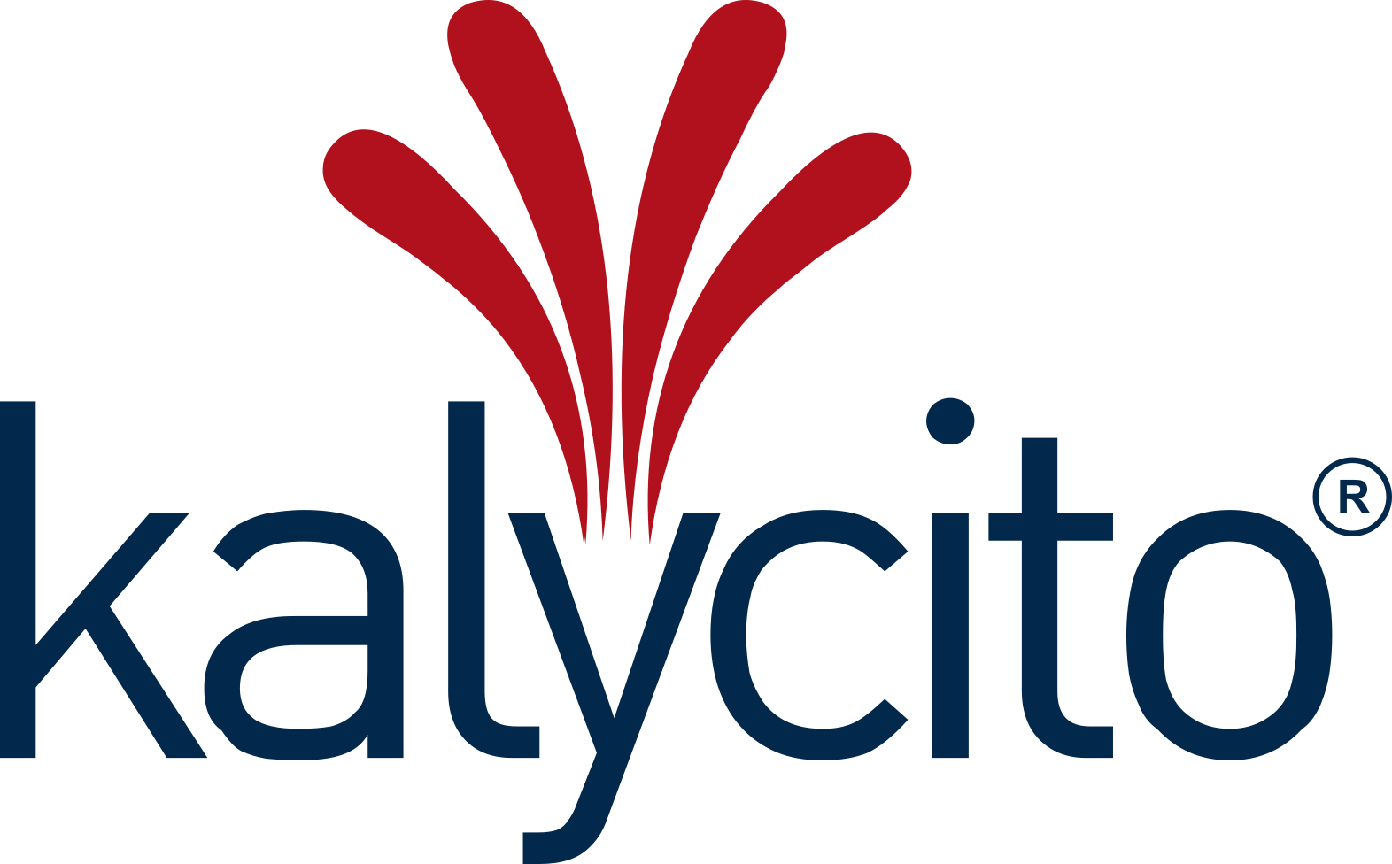 Kalycito-Logo