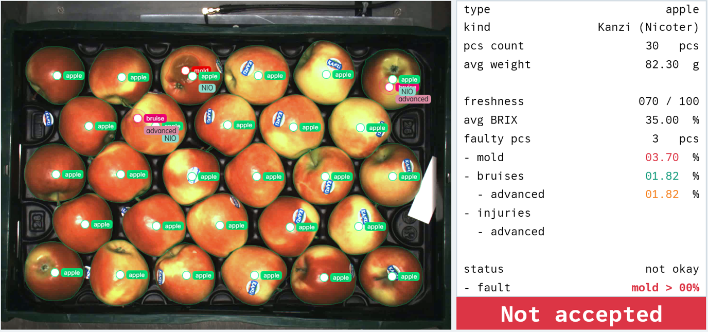 Beispiel für die KI-basierte Analyse einer Apfelkiste