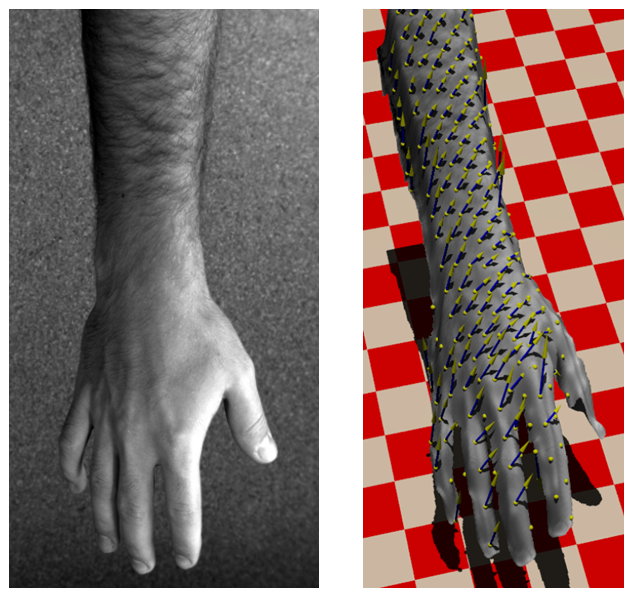 Input image of a rotating arm and the corresponding 3D reconstruction and 3D movement.