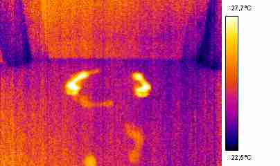 Thermal image signature of a footprint