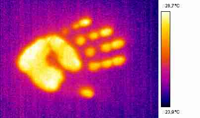 Thermal image signature of a hand